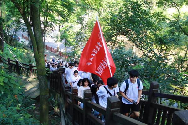 裁员“祭旗”,光伏产业猛攻BC电池